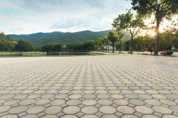 Best Local Driveway Pavers  in Harvey, LA